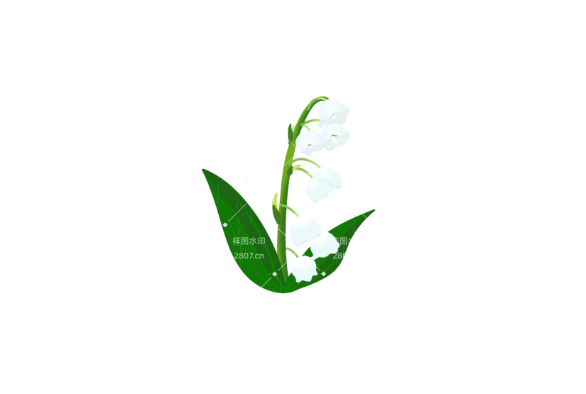 雨水节气植物铃兰白色花朵元素