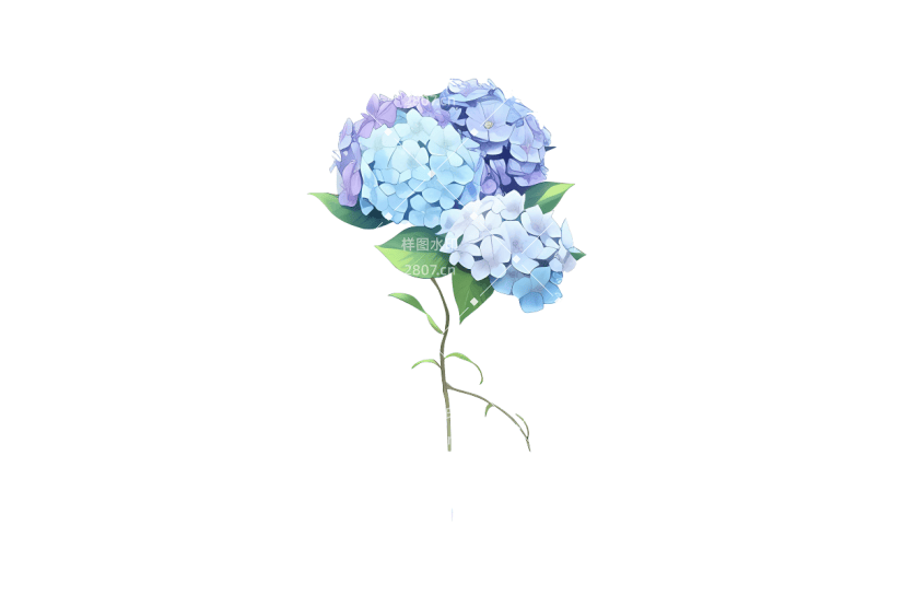 蓝色绣球花花束鲜花插画元素