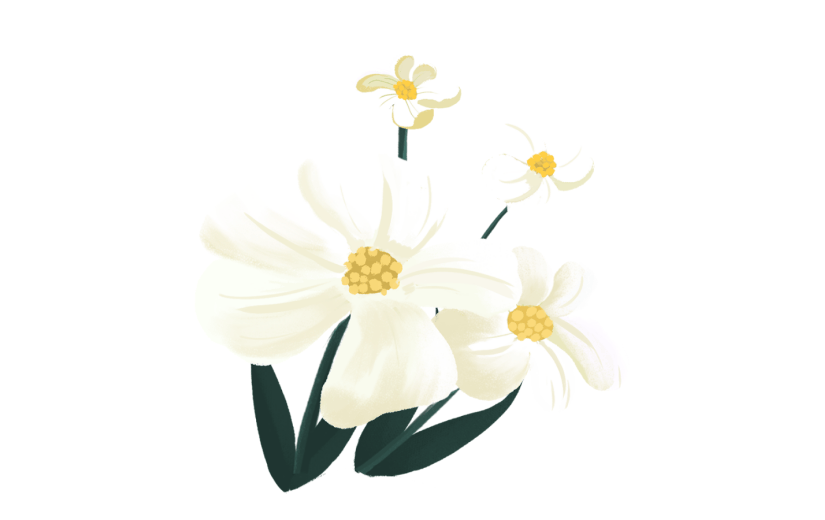 元素卡通花卉白色花朵