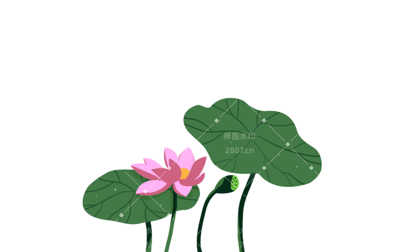 夏天荷花花卉素材