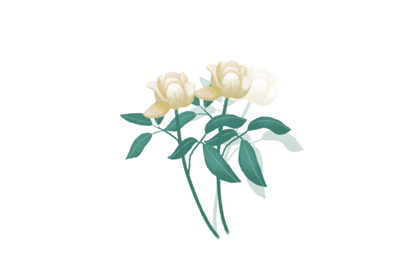 素材花卉花朵花枝
