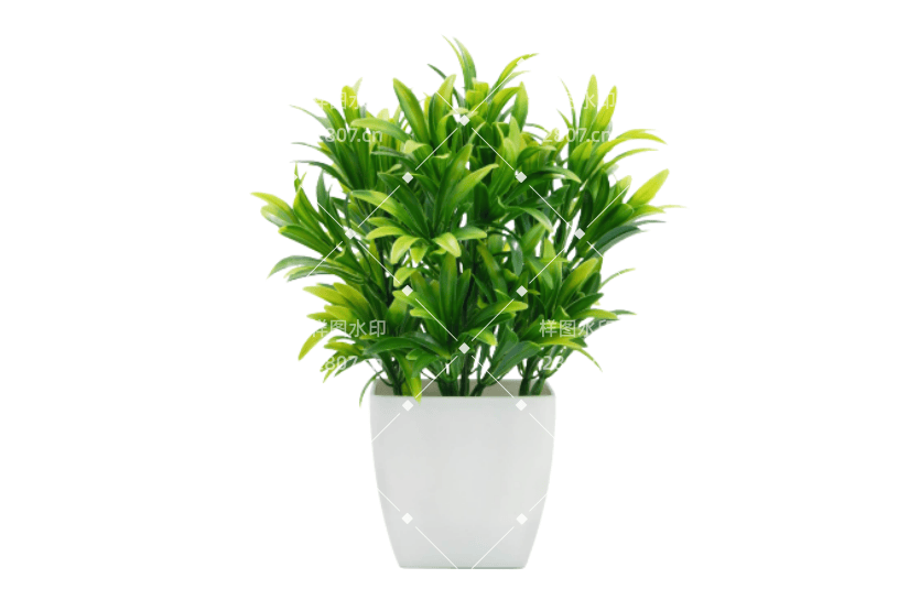 PS茂盛绿植桌面盆景素材
