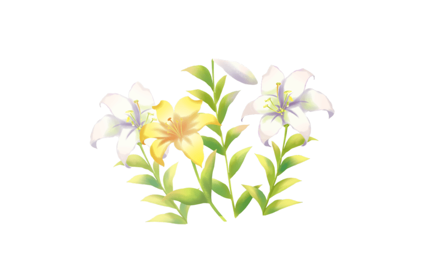 元素小清新百合花插画元素