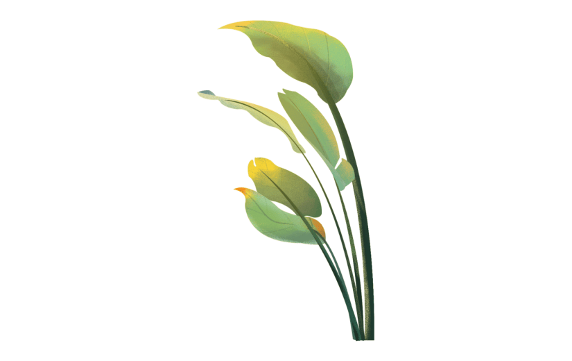 元素手绘植物插画元素