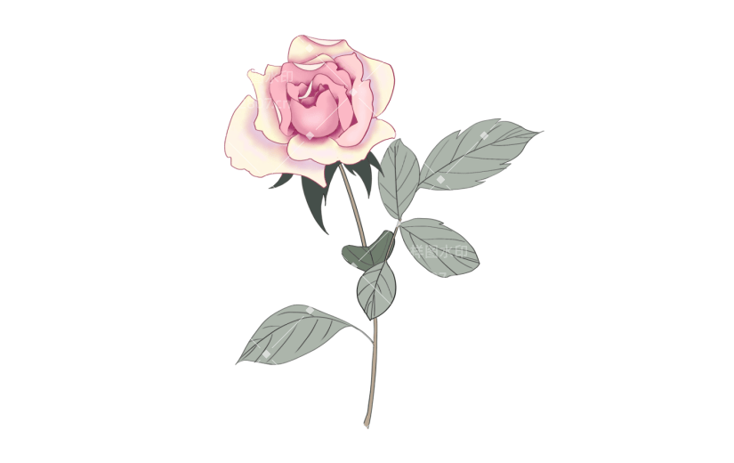 元素紫色月季花枝