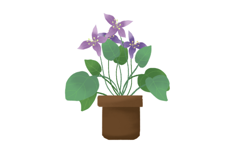素材花盆绿植花卉