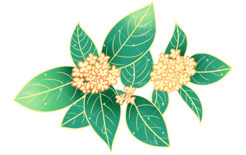金边   节日    中秋节   国风    传统    喜庆    花卉   桂花
