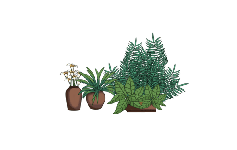 绿植盆栽花草素材