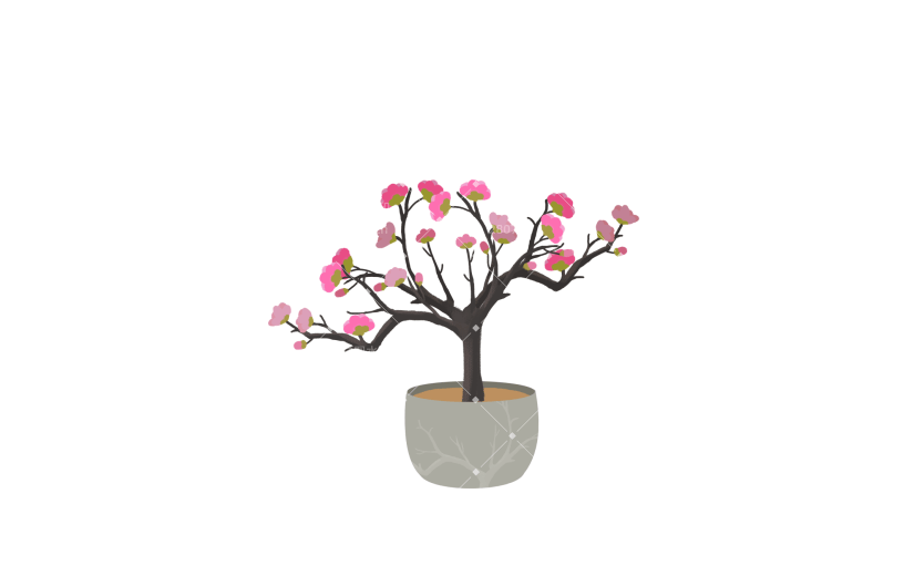 花卉花盆