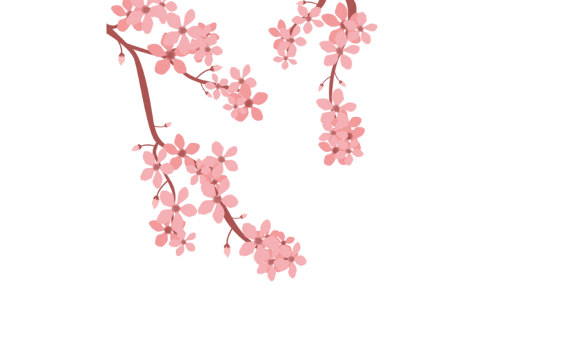 元素手绘 装饰 花卉 樱花 花枝