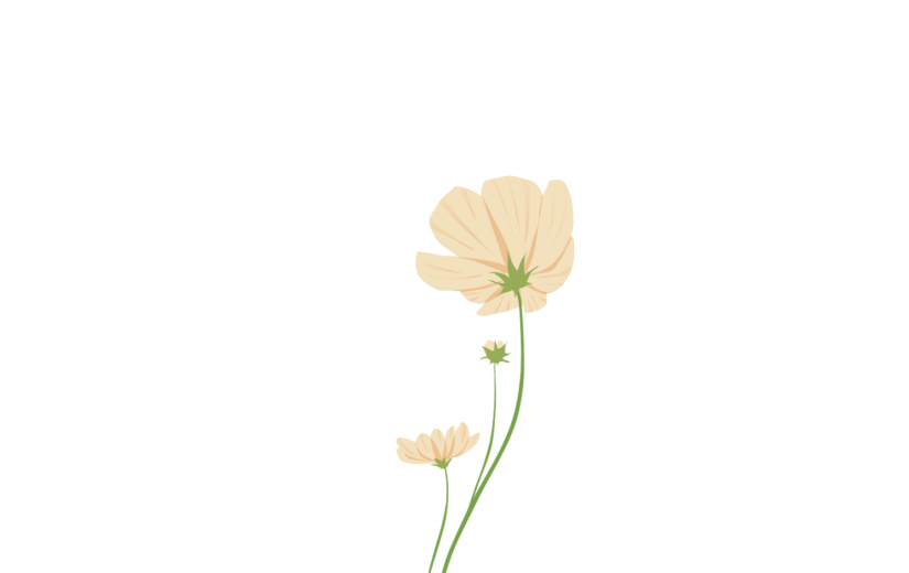 鲜花花卉装饰