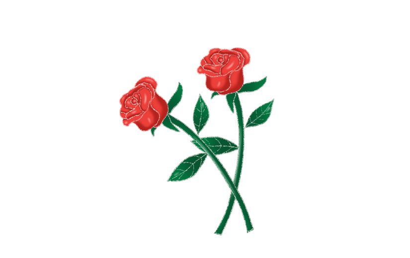 素材花卉玫瑰花