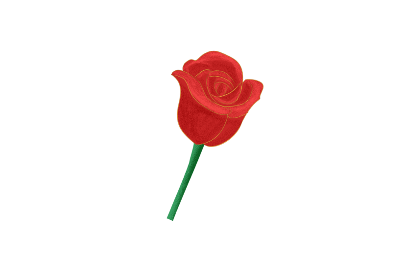 玫瑰花花朵手绘