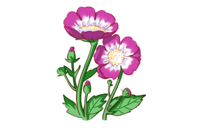 元素可爱手绘处暑紫白色花卉
