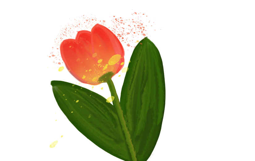 元素花卉花朵叶子插画元素