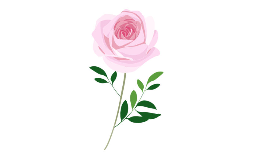 元素粉色月季花枝
