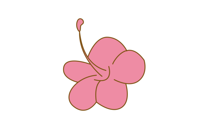 购物节 购物 买买买 花卉 鲜花 玫瑰