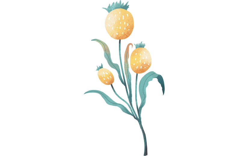 元素手绘植物花卉插画元素