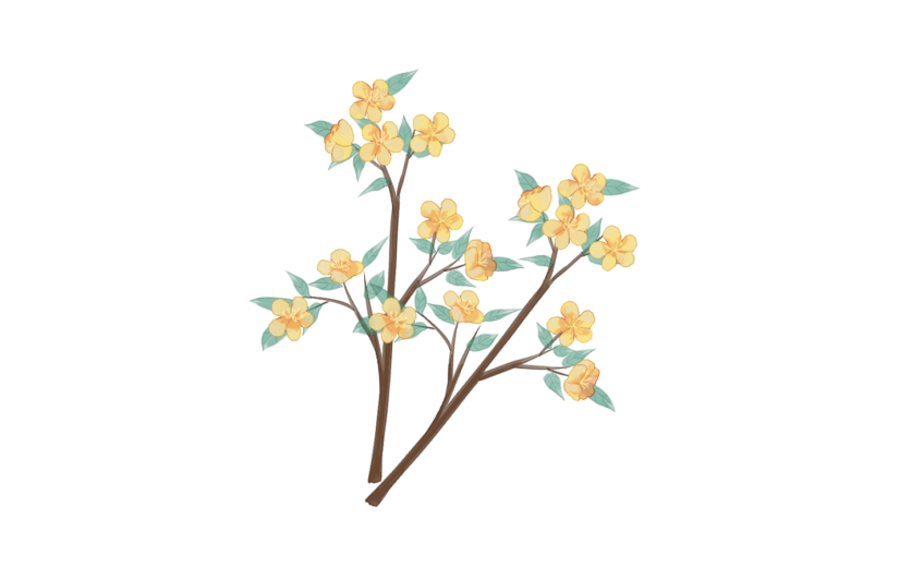 素材花卉古风
