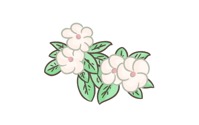 元素手绘卡通大暑植物花卉凤仙
