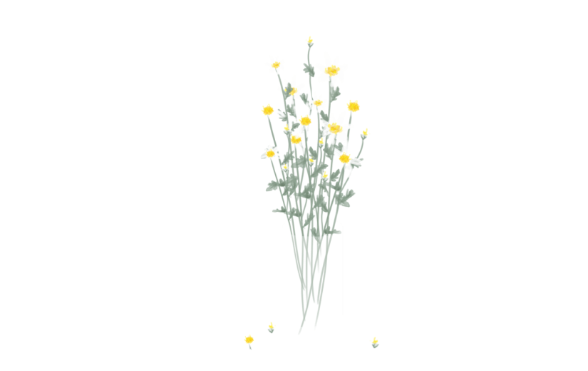 元素小清新菊花花瓶花卉插画元素