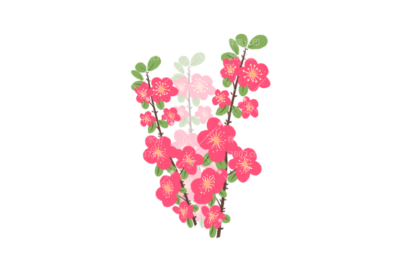 花卉花朵红色装饰