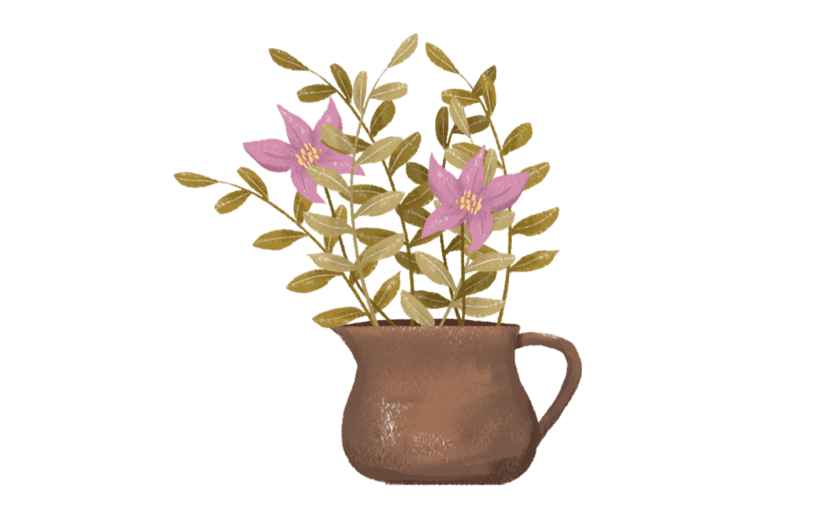 素材花卉盆栽