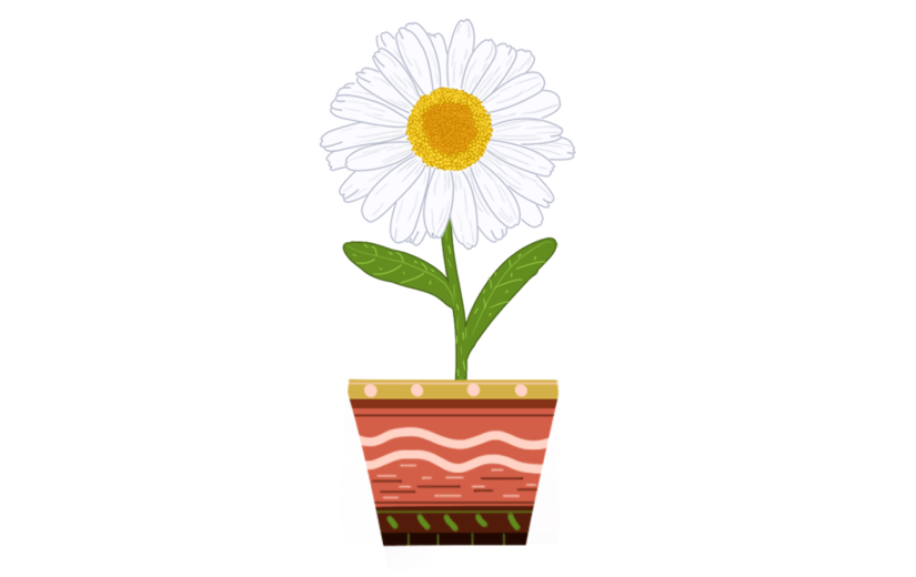 元素花卉元素菊花