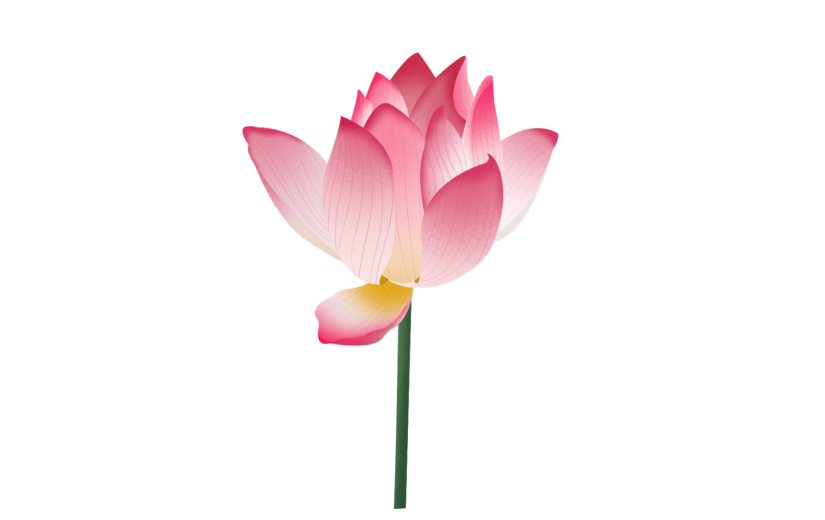 元素手绘水彩花卉莲花插画元素