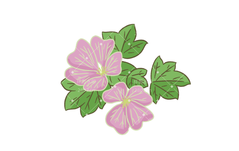 元素手绘卡通节气芒种花卉锦葵花