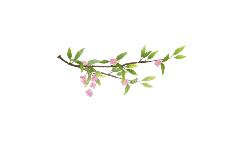 素材花卉春天立春花朵桃花