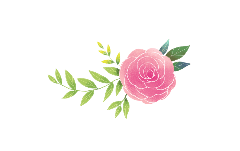 元素水彩小清新花卉png透明底插画元素