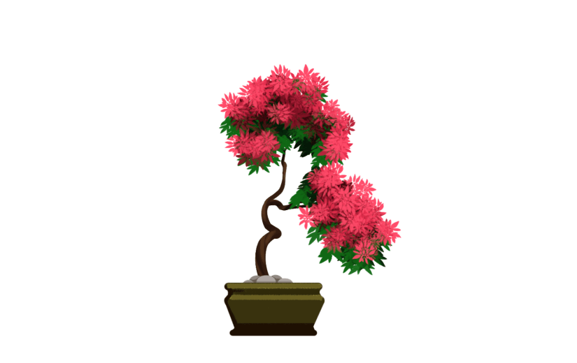盆栽景观花卉绿植