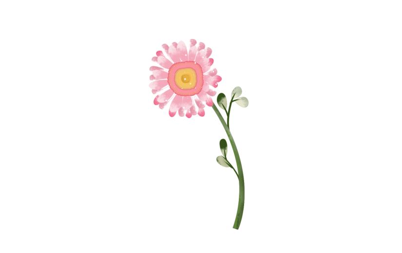 元素手绘水彩花卉粉色插画元素