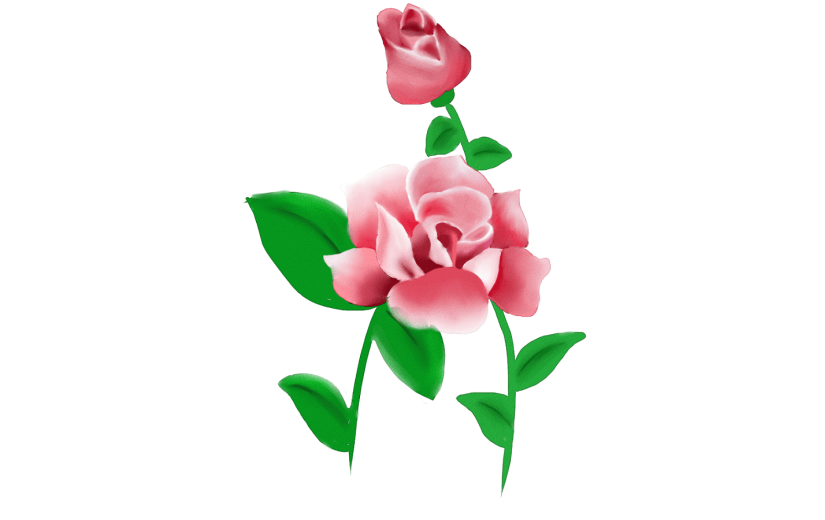 元素 装饰元素  水彩花卉 牡丹花