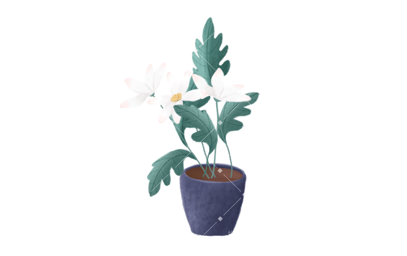 花卉花朵盆栽手绘