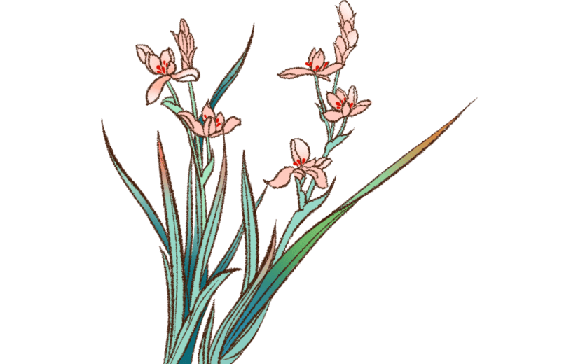 水墨    工笔画   中国画   传统    花鸟   花卉  兰花   工笔花鸟