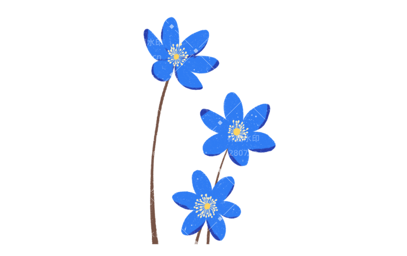 花卉花朵蓝色装饰