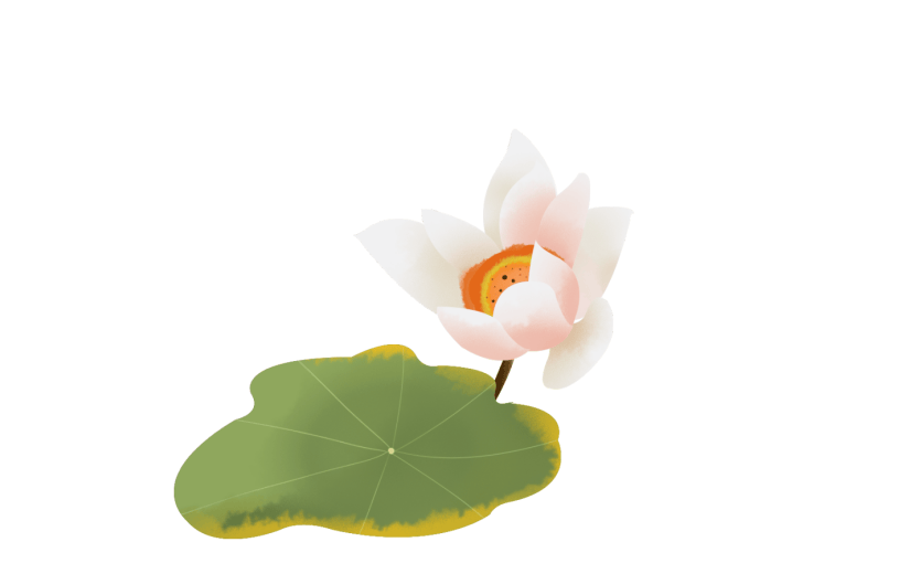 元素手绘水彩花卉白色荷花莲花插画元素