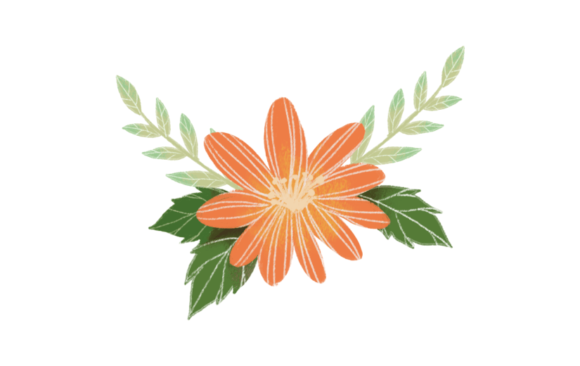 元素花朵花卉彩色水彩风插画元素