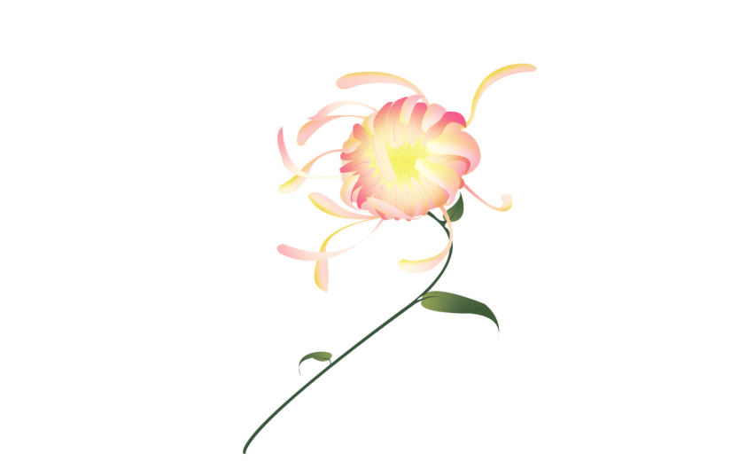 元素手绘重阳节节日节气菊花插画元素