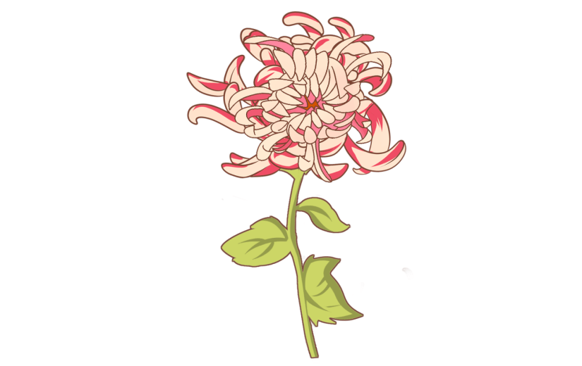 元素重阳节菊花花朵装饰元素
