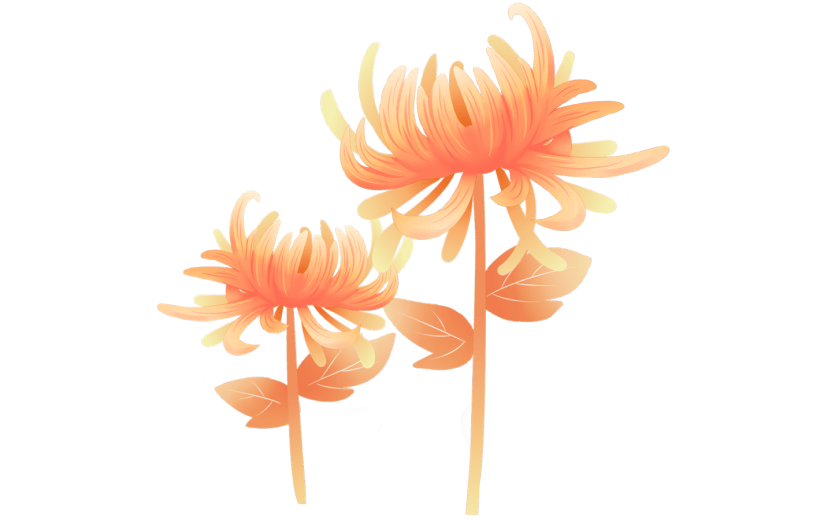元素重阳节菊花装饰元素