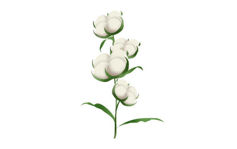 棉花装饰织物花卉
