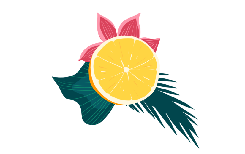 元素简约扁平夏日沙滩绿色植物水果花卉组合插画元素
