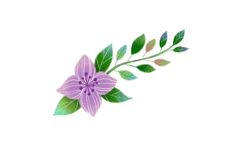 元素简约唯美清新花卉植物叶子插画元素