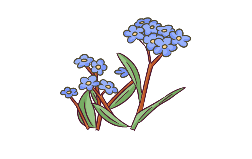 元素手绘卡通节气芒种花卉勿忘草