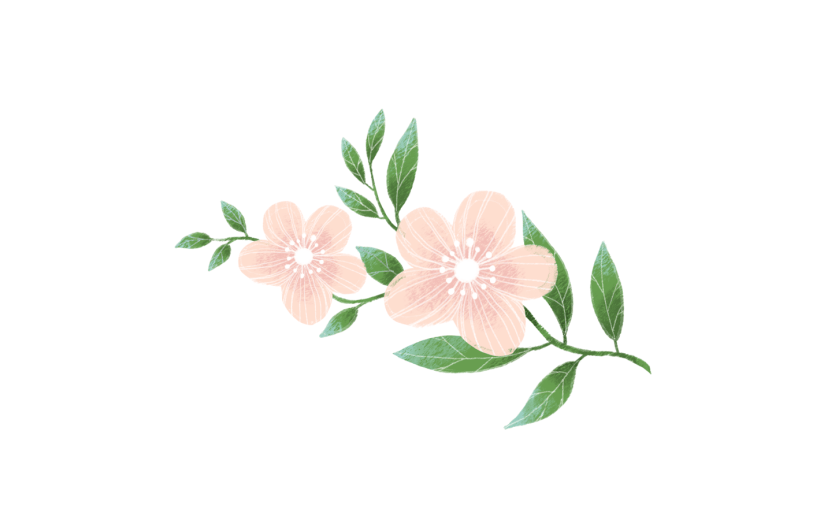 元素森系小清新水彩手绘绿叶植物花朵插画元素
