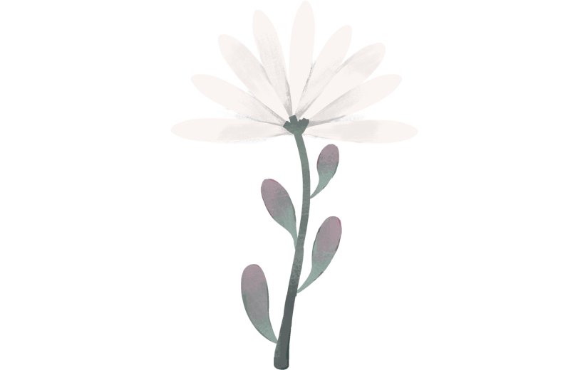 元素手绘植物花卉插画元素
