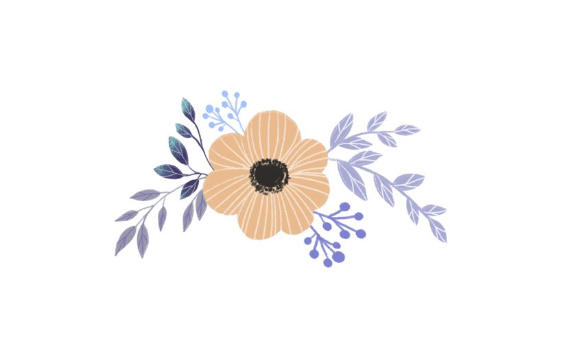 元素精美植物叶子花朵素材插画元素